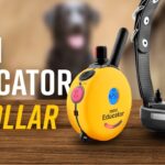 Video Thumbnail: E-Collar Technologies: ET-300 Mini Educator