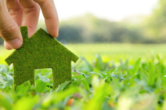 Eco-Friendly Home Improvements Going Green and Saving Green